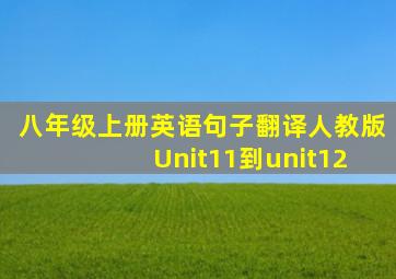 八年级上册英语句子翻译人教版 Unit11到unit12